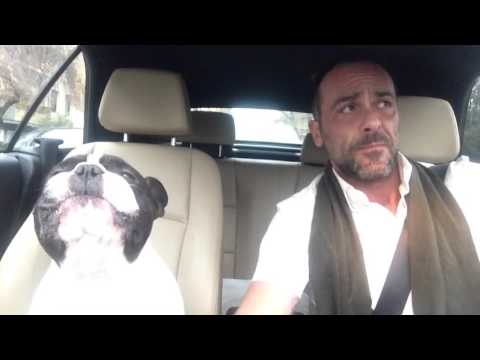 Bulldogge und sein Herrchen singen ein Duett