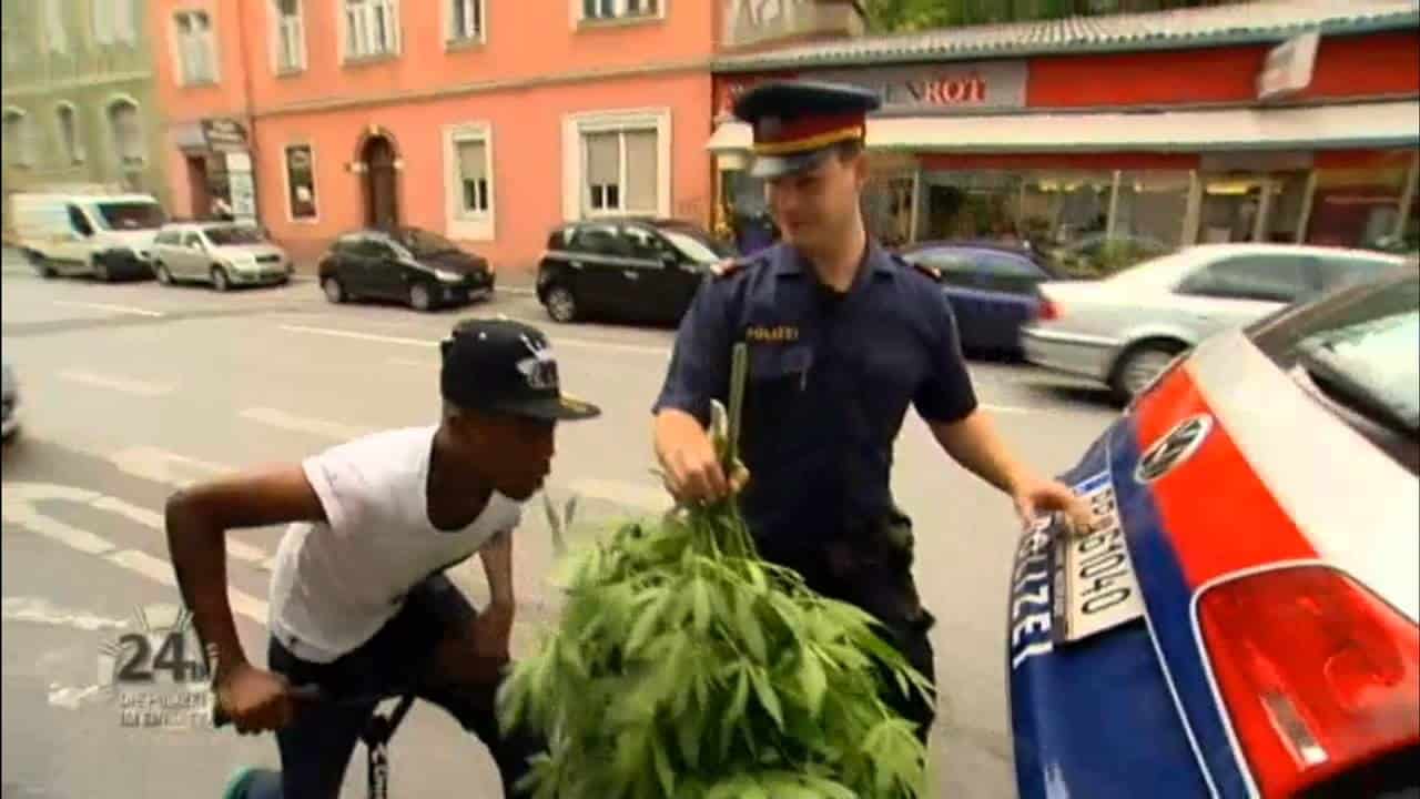 Ist das Ganja?