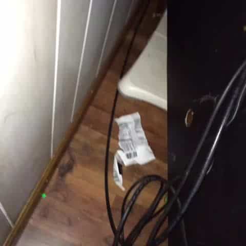 Katze hilft beim verkabeln