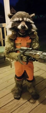 The best Rocket Raccoon costume ever