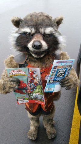 Das beste Rocket Raccoon Kostüm aller Zeiten