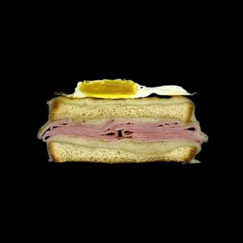 Scanwiches