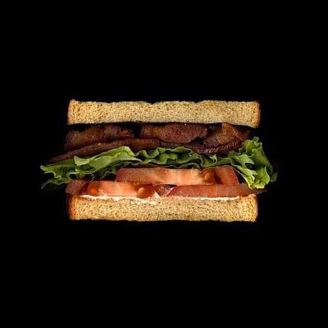 Scanwiches