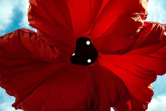 Diese Blume Lampen blühen, wenn Leute unter ihnen stehen