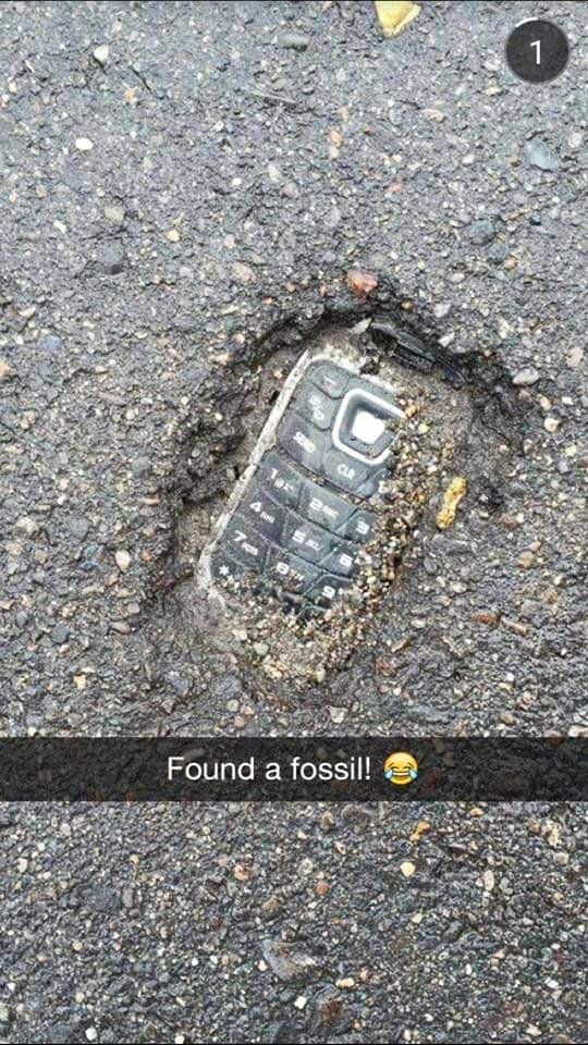 Fossil gefunden