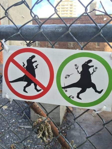 Für mehr T-Rexe mit Flowerpower