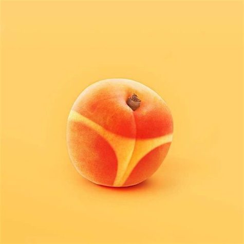 Die absurde Welt von Tony Futura