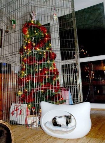 Noel ağacınızı nasıl kedi korumalı hale getirebilirsiniz?