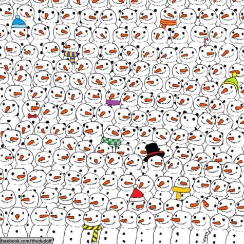 Hvem finner pandaen?