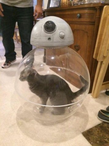 Wie BB-8 funktioniert