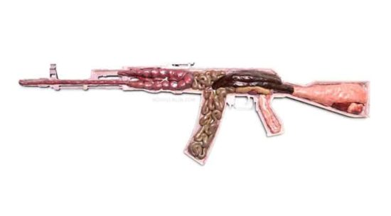 Anatomy of War: Waffen mit Innereien