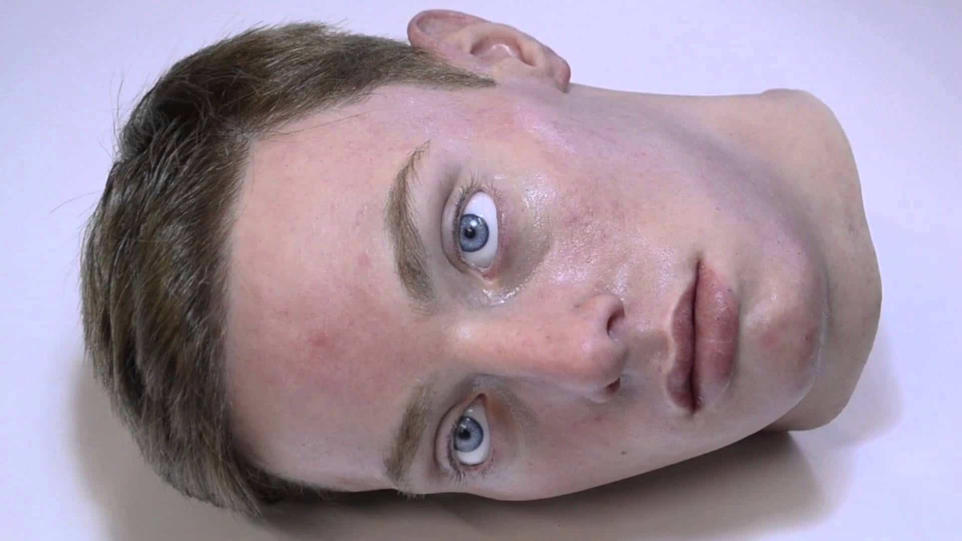 Animatronischer, scheinbar lebendiger Kopf