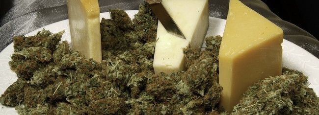 Cannabis Camembert: Bong Appetit