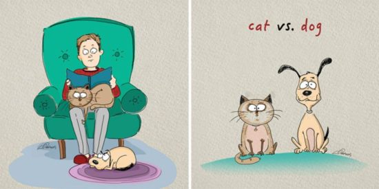 Cats vs Dogs: 6 Unterschiede illustriert von Bird Born