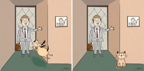Cats vs Dogs: 6 forskelle illustreret af Bird Born