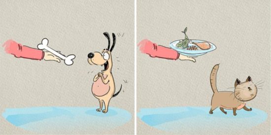 Cats vs Dogs: 6 Unterschiede illustriert von Bird Born