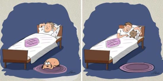 Cats vs Dogs: 6 Unterschiede illustriert von Bird Born