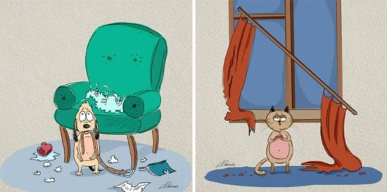 Gatos vs perros: 6 diferencias ilustradas por Bird Born