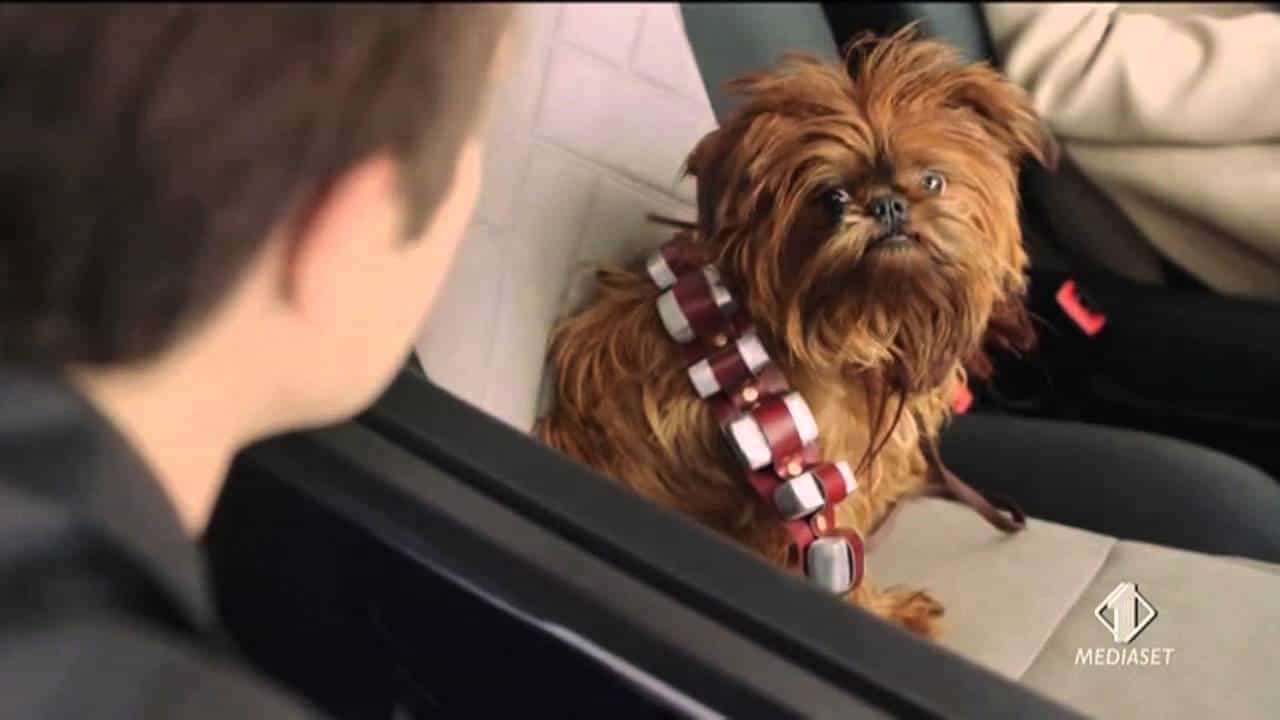 Was hat der Fiat Panda mit Star Wars zu tun? In etwa gleichviel wie der Lancia Ypsilon