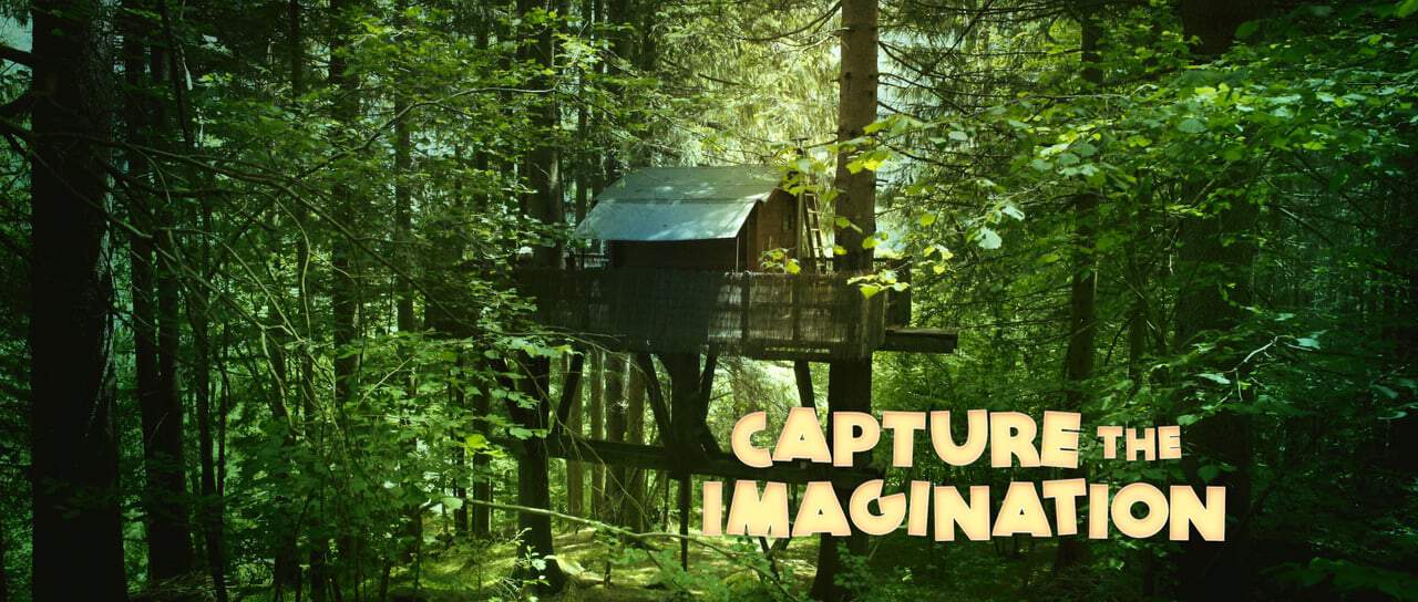capture the imagination
