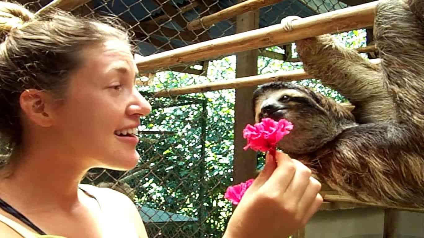 Sloth gets flower