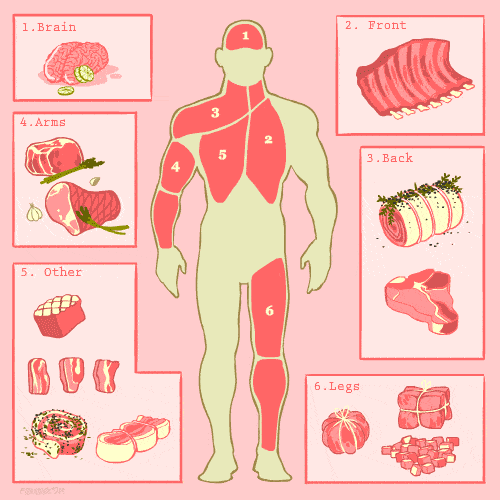 Ciencia de la carne: partes humanas