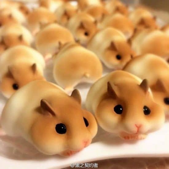 Japansk bakeri baker hamstere som brød