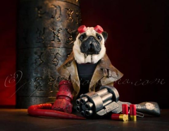 Hellpugs: Wenn Möpse Hellboy treffen