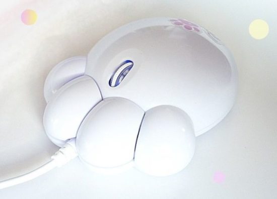 Katzenpfote als Computermaus