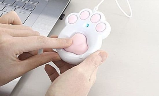 Pata de gato como ratón de ordenador
