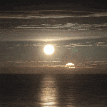 GIFs von Micaël Reynaud