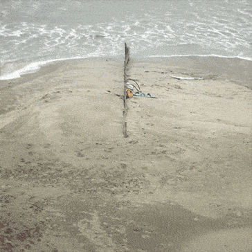 GIFs von Micaël Reynaud