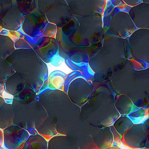 Photobacillus