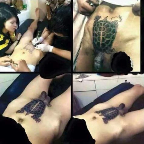 Tatuagem do dia: a tartaruga