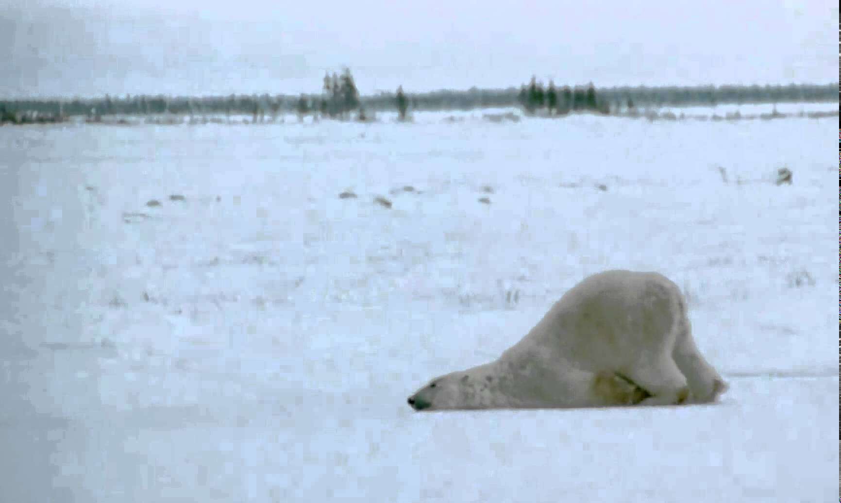 So ein richtig müder Montag