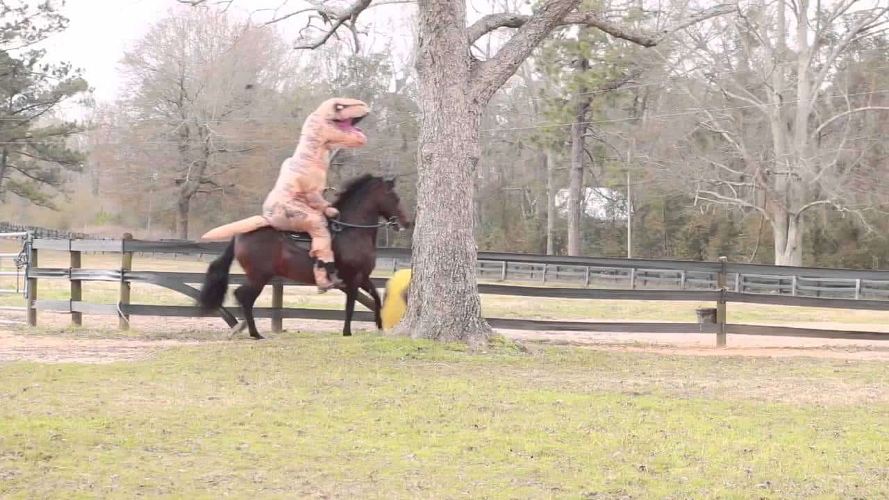 Лошадь динозавр. Андре едет на конях. Конь на двух ногах. Еду конь несет. Конь боджек машина.