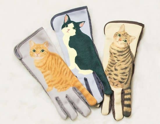 Touchscreen-Handschuhe lassen Katzenschwänze wackeln