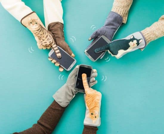 Touchscreen-Handschuhe lassen Katzenschwänze wackeln