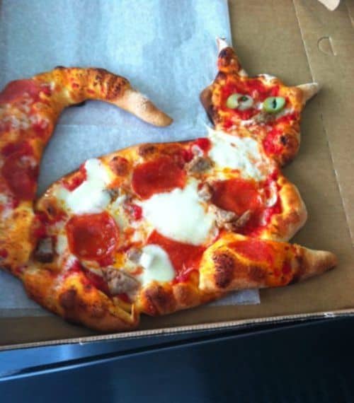 Katzen-Pizza