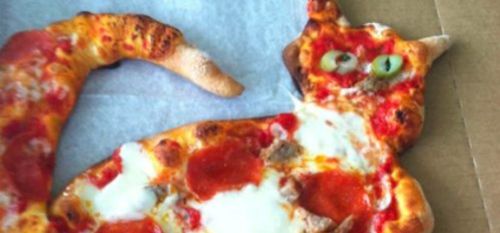 Katzen-Pizza