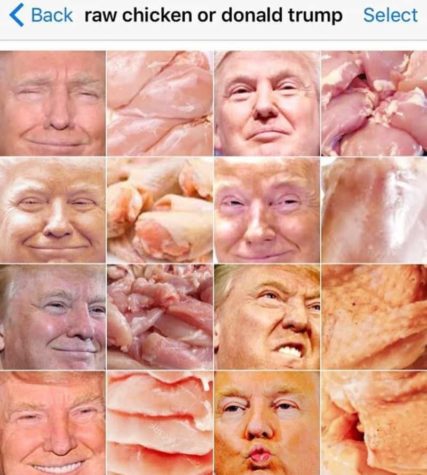 Surowy kurczak czy Donald Trump?