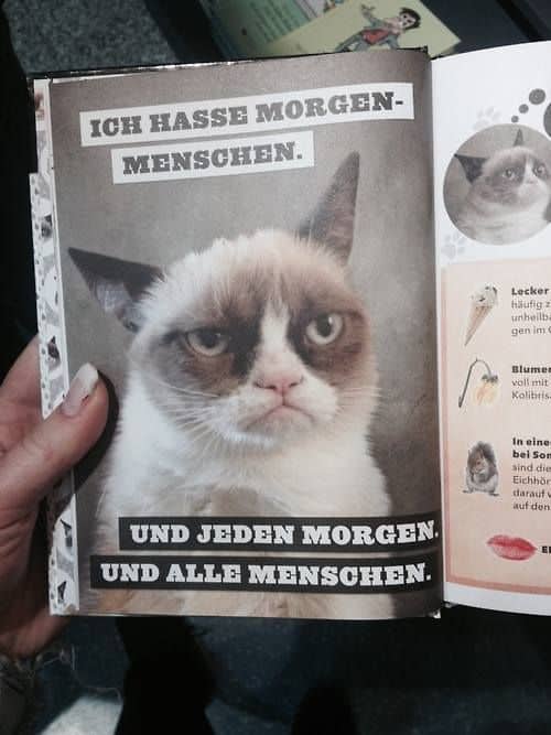 Meine Montagsstimmung