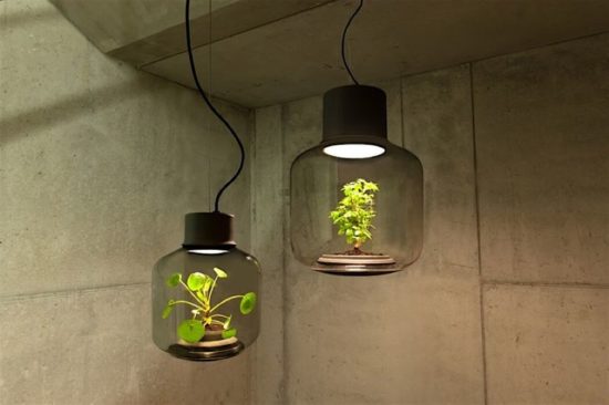 Mygdal: Die autonome Pflanzenlampe
