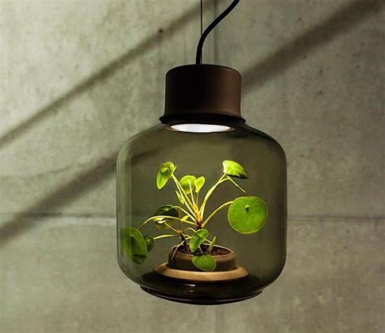 Mygdal: Die autonome Pflanzenlampe