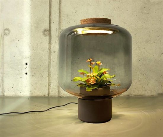 Mygdal: la lámpara vegetal autónoma