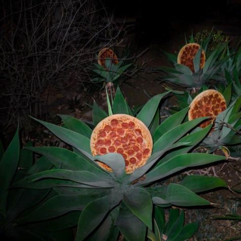 Pizza en la naturaleza
