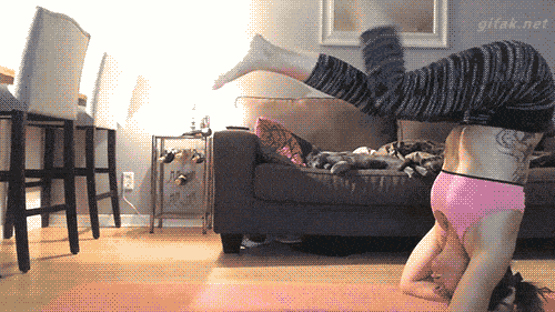 Wie man mit Yoga Katzen erschreckt