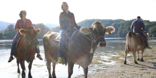 Cow-Trekking