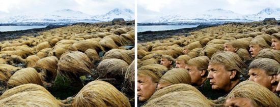 Geheime Fotos zeigen, wo Donald Trump sein Haar züchtet