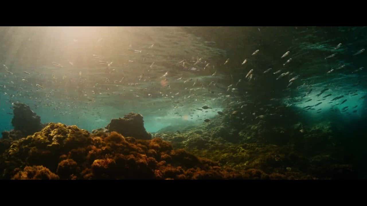 volution Trailer Dravens Tales From The Crypt